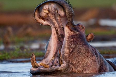3 Day: Landscapes of Serengeti and Ngorongoro Crater