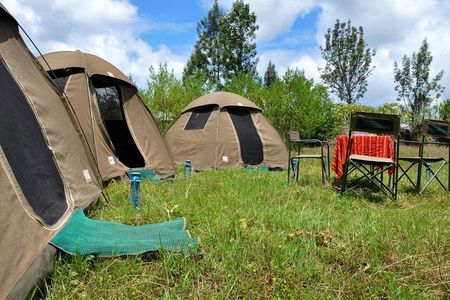 5 days into the heart of serengeti (serengeti, ngorongoro, lake manyara)