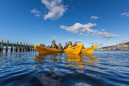 Hobart Kayak Tour