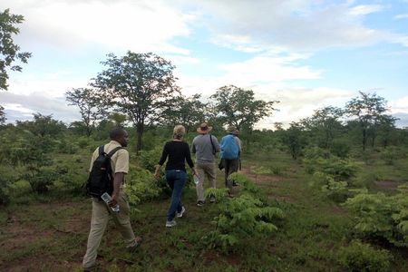 Rhino & Nature walk in the Musiotunya National Park