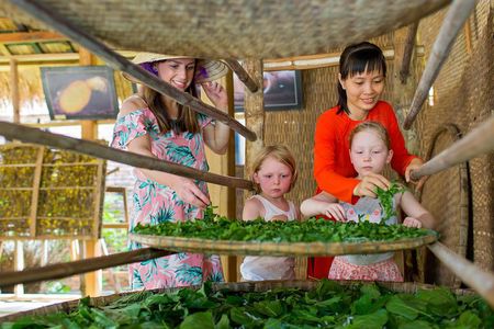 DISCOVER the Skills of sericulture & weaving, HOI AN SILK VILLAGE