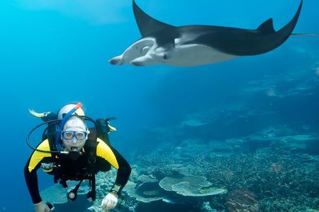 Double Diving in Sal Island - Half Day
