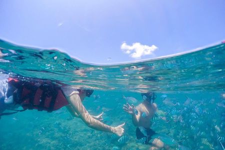 Pig Island & Koh Tan Tour by Speed Boat (Snorkeling & Kayaking)