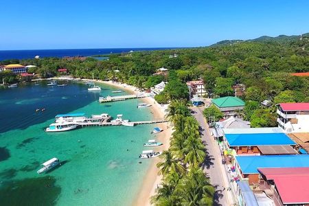 West End Tour (Choco Factory + Rum Company + Art Gallery + Rusty Fish and more)