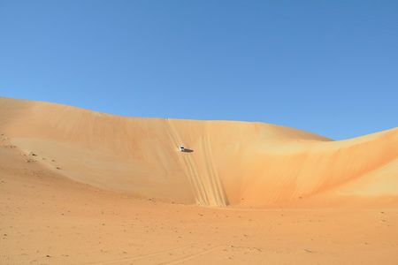 Liwa Full Day Desert Safari (exploring)