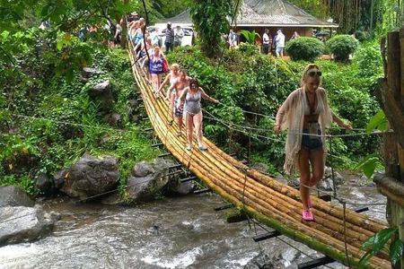 Dark View Waterfall and Beach Tour