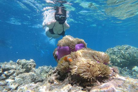 Nusa Penida Island Tour Package With Snorkeling