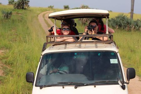 7-Day Uganda Adventure Safari - Midrange Lodges