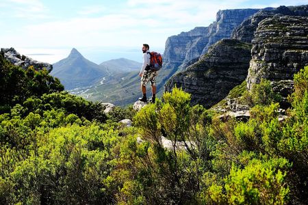 Tranquility Cracks Private Hike on Table Mountain's 12 Apostles