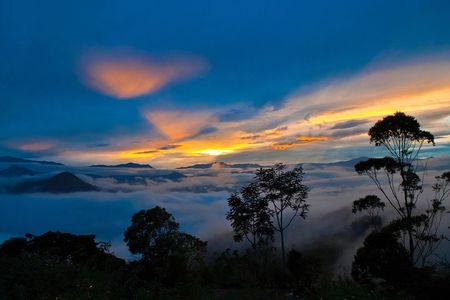 Full Day Mindo - Cloud Forest from Quito