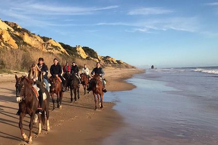 Horseback riding tour of Doñana and visit of El Rocio