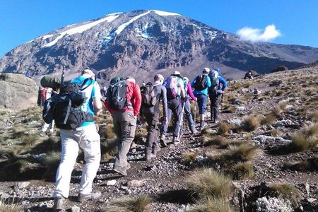 8 Days Lemosho Route Kilimanjaro Trekking