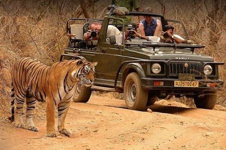 Taj Mahal With Ranthambore Jungle Safari 