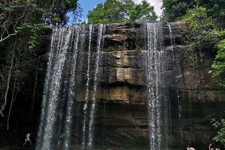 1 day Shimba hills