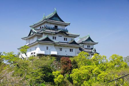 The Best of Wakayama City Private Tour