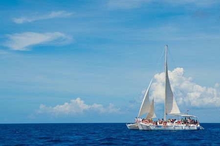 Saona Island VIP Tour: Hidden Beaches, Snorkeling & Mano Juan