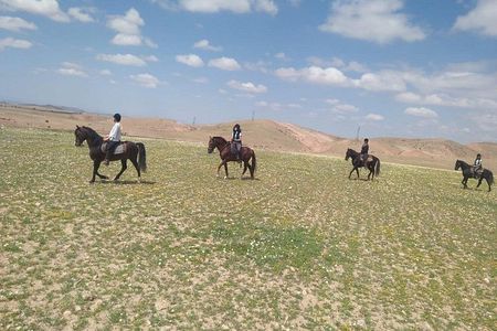Horseback Riding in a special agafay desert