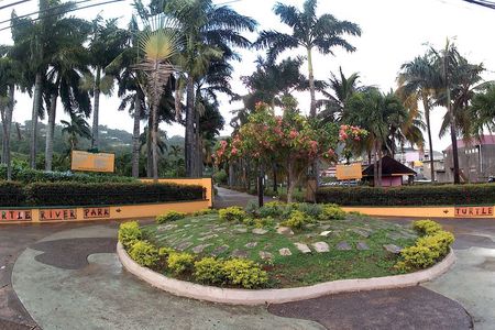 Turtle River Park and Panoramic Sightseeing in the Hills 