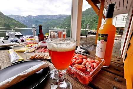 Mostraumen Private Pontoon Cruise