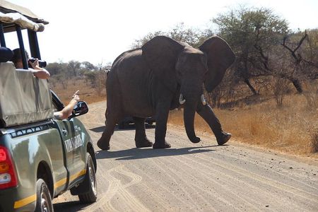 7 Day Classic Kruger National Park Safari