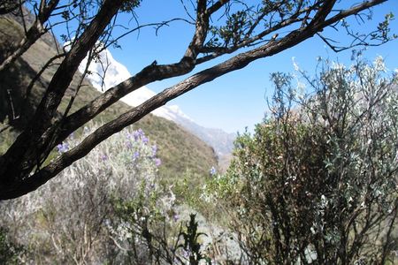 69 LAKE - HUASCARAN NATIONAL PARK / CORDILLERA BLANCA camping