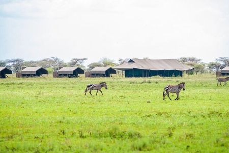  3 Days Serengeti and Ngorongoro Crater Group Tour