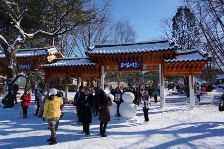 [Perfect Private Tour] Nami island, Petite France and Organic Strawberry Farm