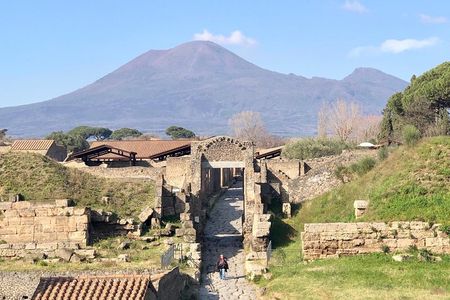 Pompeii New Discoveries Private Guided Tour 