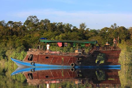 4-Day Private Orangutan and Bornean Primates Tour from Pangkalanbuun