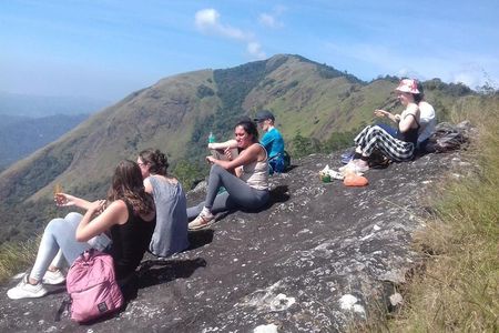 Munnar historical trail- (walk into Tea garden, village & market)