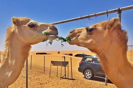 German-speaking Safari Oman
