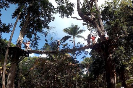 Zip Line over the Dunns River Falls 