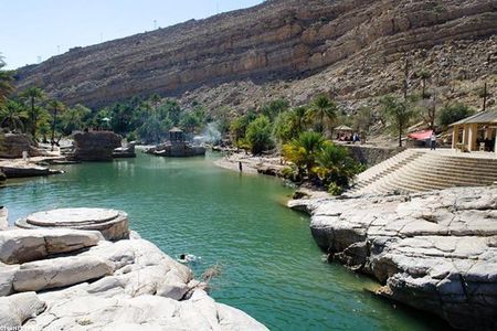 Desert Safari Sharing Tours