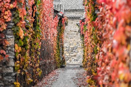 Beijing Central Axis E-Bike Tour: Forbidden City & Hutongs