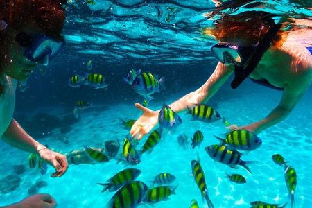 West Bay Aquarium Snorkeling, Chocolate & Rum Factory, City Tour plus Transfer