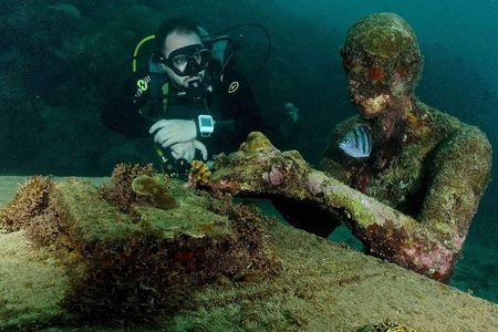 ALL INCLUSIVE Full Day snorkeling & sunset cruise with boat dogs