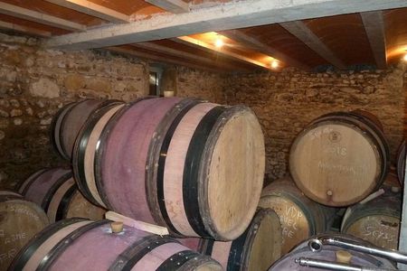 Northern Rhône Valley Wine tour from Lyon Half Day