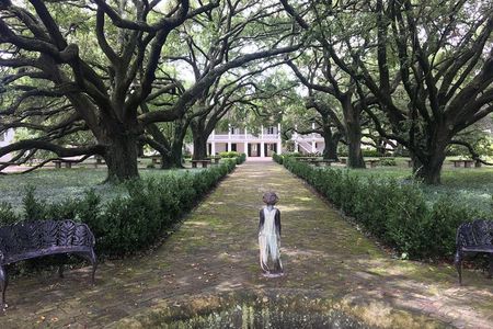Two Plantation Tour: Oak Alley and Laura or Whitney