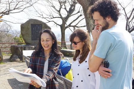 Wakayama Castle Town Walking Tour