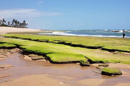 Ivan Bahia, private beach-tour, swim with turtles, visit Imbassai & Praia Forte