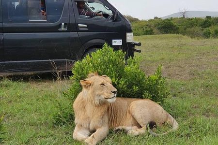 8 days kenya Tanzania combined holiday safari adventure