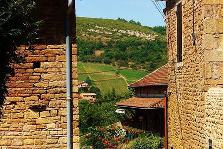 Beaujolais wine tour from Lyon half day
