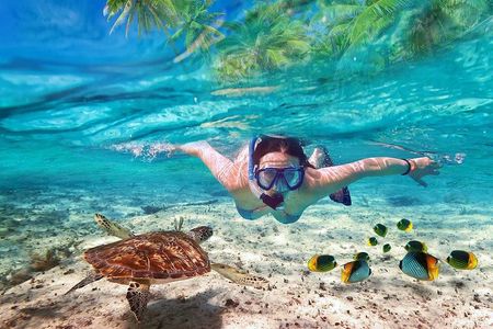 V.I.P Snorkeling & Fishing Tour ( Speed Boat ) Minimum 02 people 