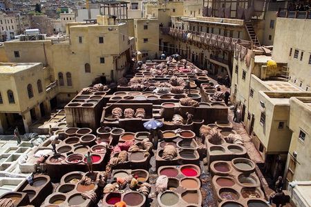 Fez Guided Tour from Casablanca