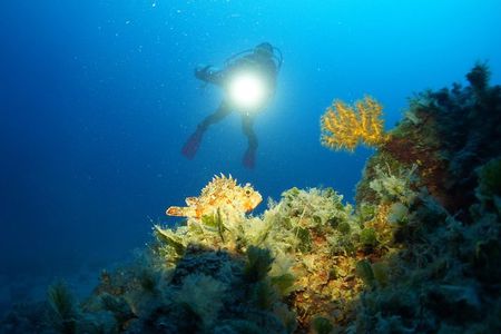 Diving day tour with 2 dives