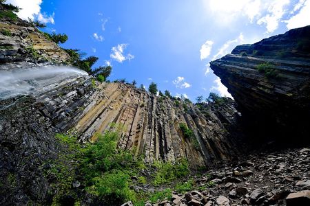 Yellowstone Wolf Watching and Wildlife Safari