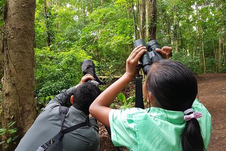 Natural History Walk