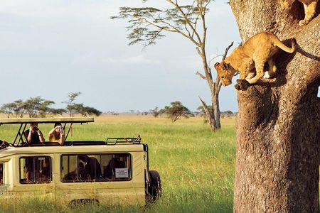 3 Days-Tarangire, Ngorongoro & Lake Manyara: Camping Joint Safari.