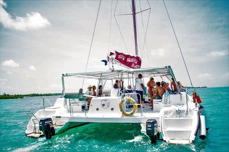 Catamaran Ile aux Cerfs, snorkeling + GRSE Waterfall, BBQ & Bar