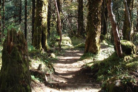 One-Day Hiking and Trekking in Kathmandu Valley